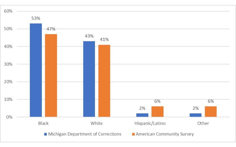 Dele bibliotekar salgsplan A Snapshot of Michigan's Prison Population - Safe & Just Michigan